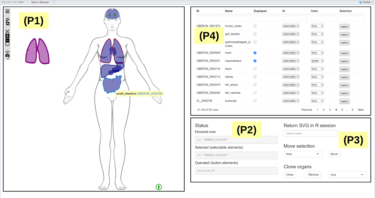 Anatomogram ‘shiny’ app.
