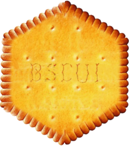 bscui logo